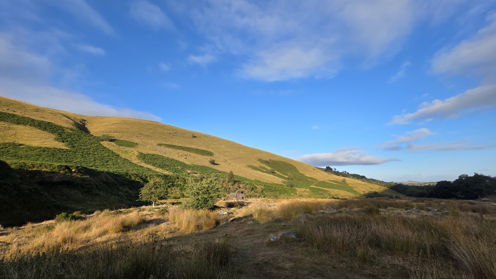 Early morning light across a steep Welsh hillside above the location