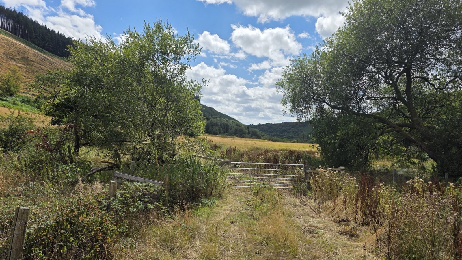 A field gate opening onto a remote Welsh valley used as a filming location
